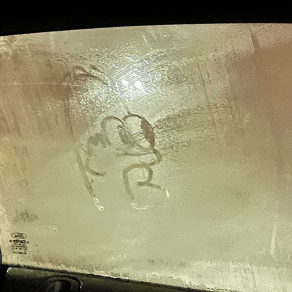 Meet your Posher, Liz